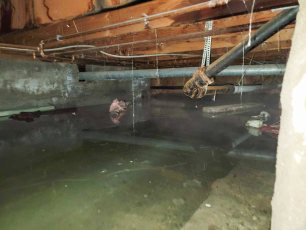 Best Water damage restoration near me  in Bloomfield, NY