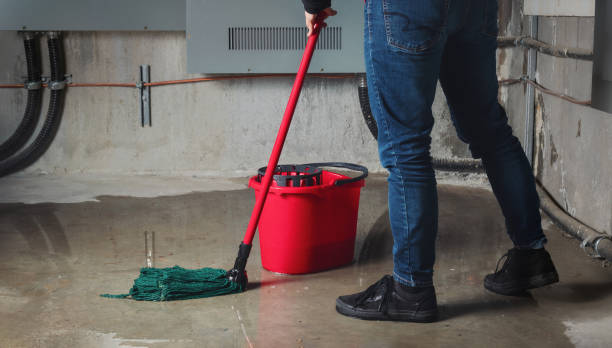 Best Flooded house restoration  in Bloomfield, NY