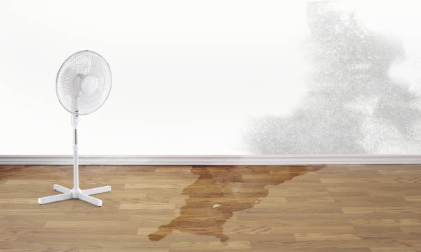 Best Residential water damage restoration  in Bloomfield, NY