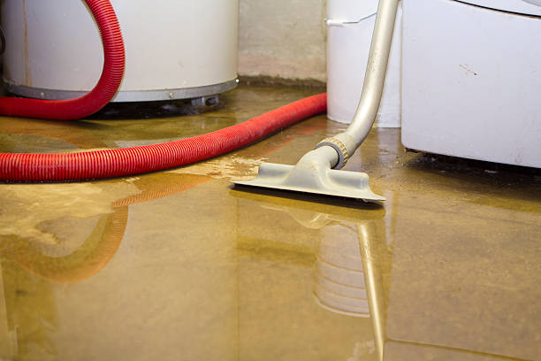  Bloomfield, NY Water damage restoration Pros