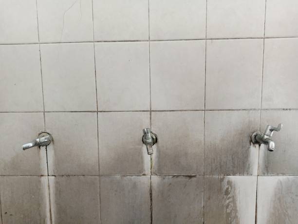 Best Water damage restoration services  in Bloomfield, NY