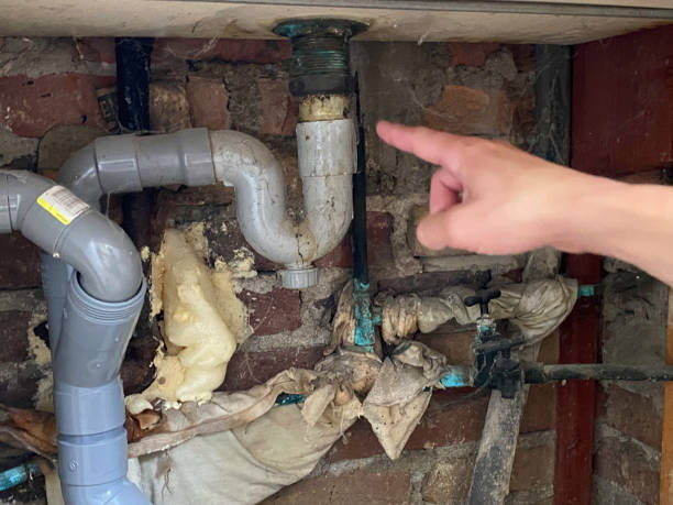 Best Fire Damage Restoration  in Bloomfield, NY