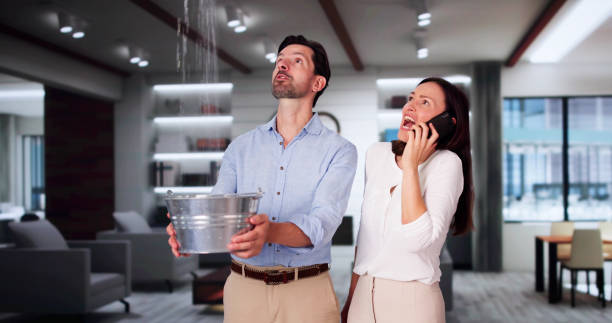 Best Commercial water damage restoration  in Bloomfield, NY