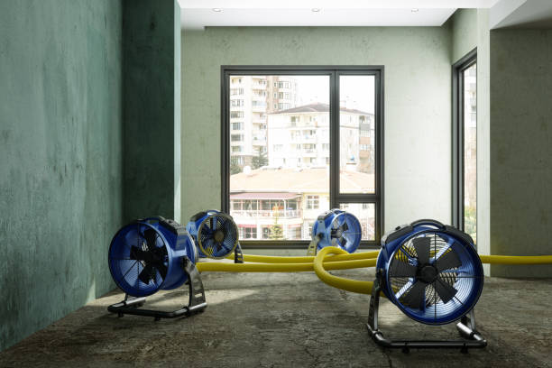 Carpet water damage restoration in NY